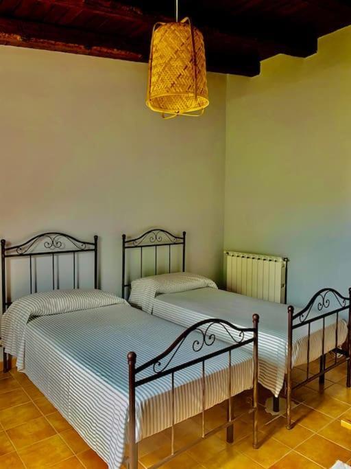 Casa Magnolia * Augusta