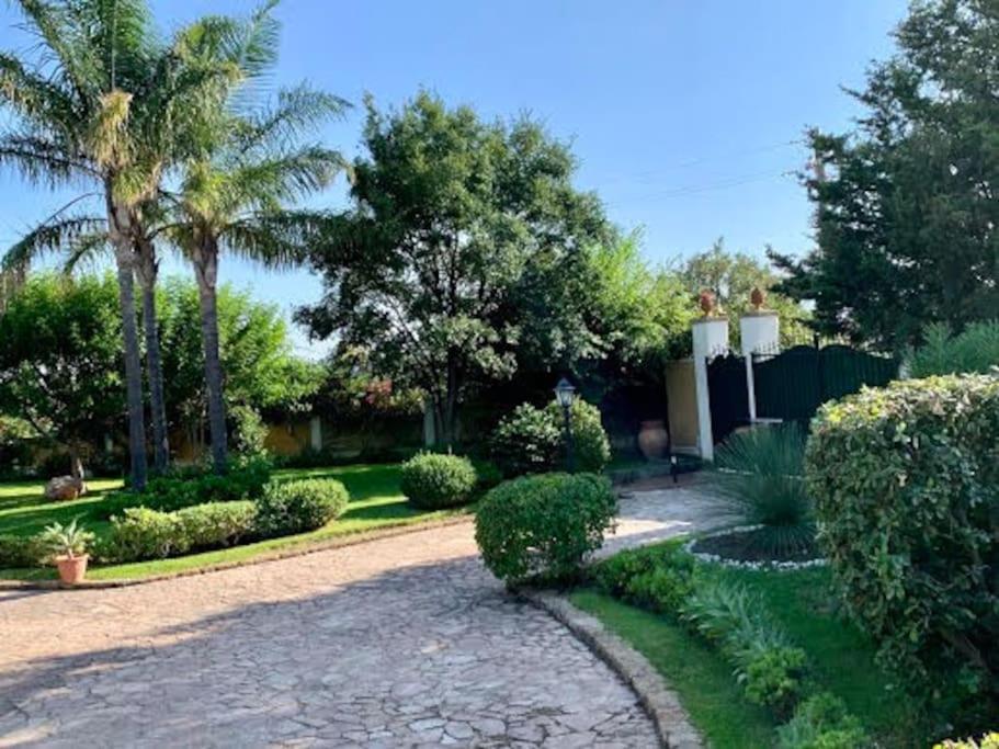 Apartment Casa Magnolia