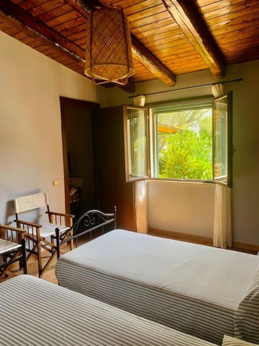 Casa Magnolia Apartment Augusta